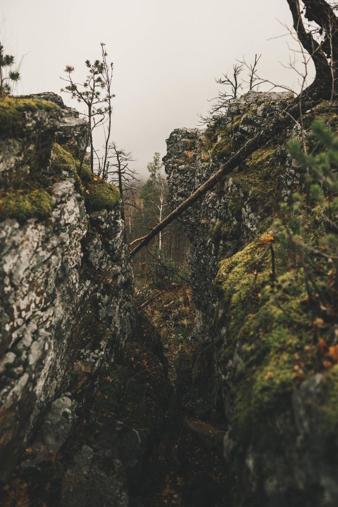 Photograph by Иван Кривоносов