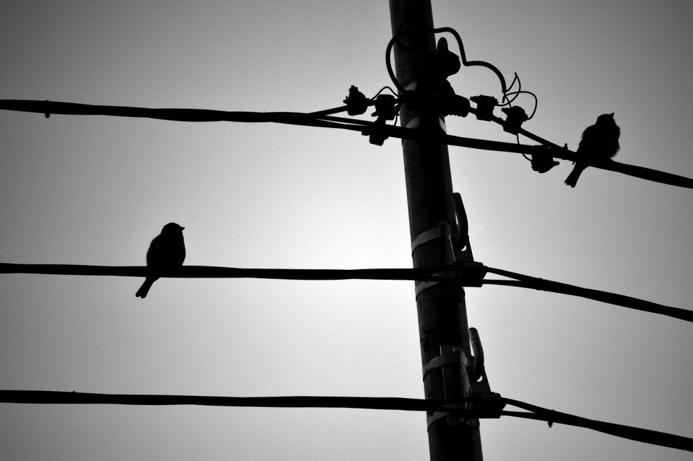 Фотография автора Vitaly Voloshin