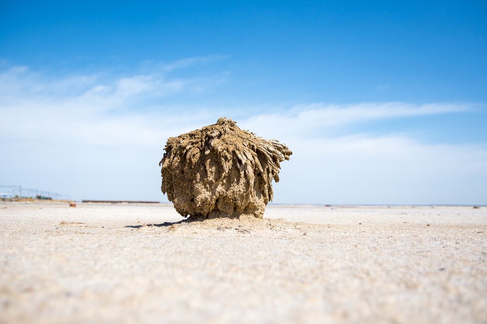 Photograph by Алексей Кузьмин