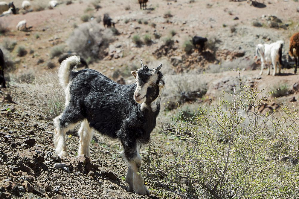 Photograph by Mohsen Khani
