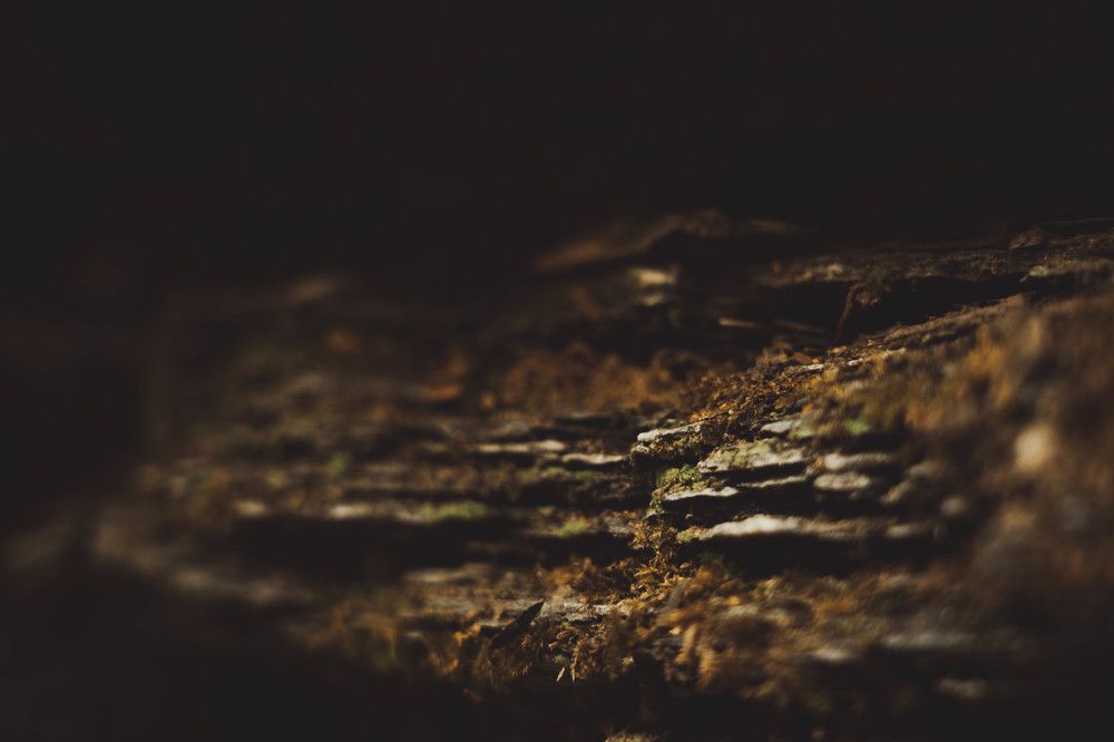 Photograph by Иван Кривоносов