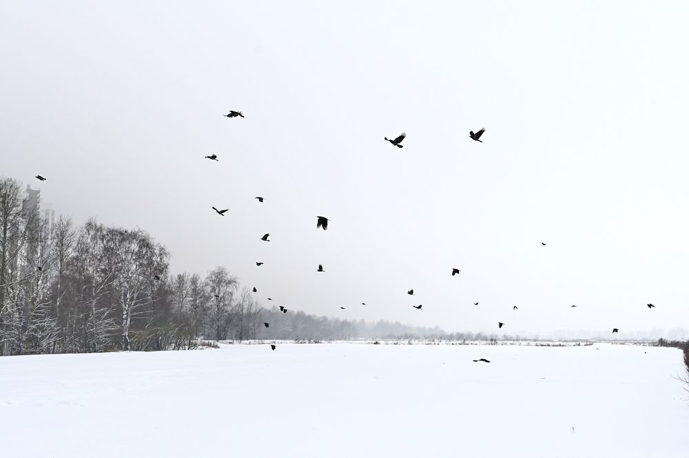 Фотография автора Vitaly Voloshin