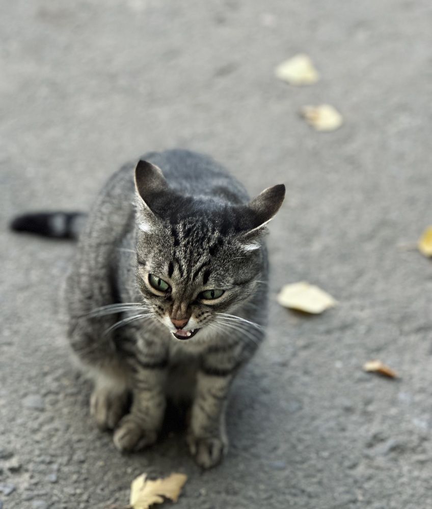 Photograph by Алёна Стародубцева