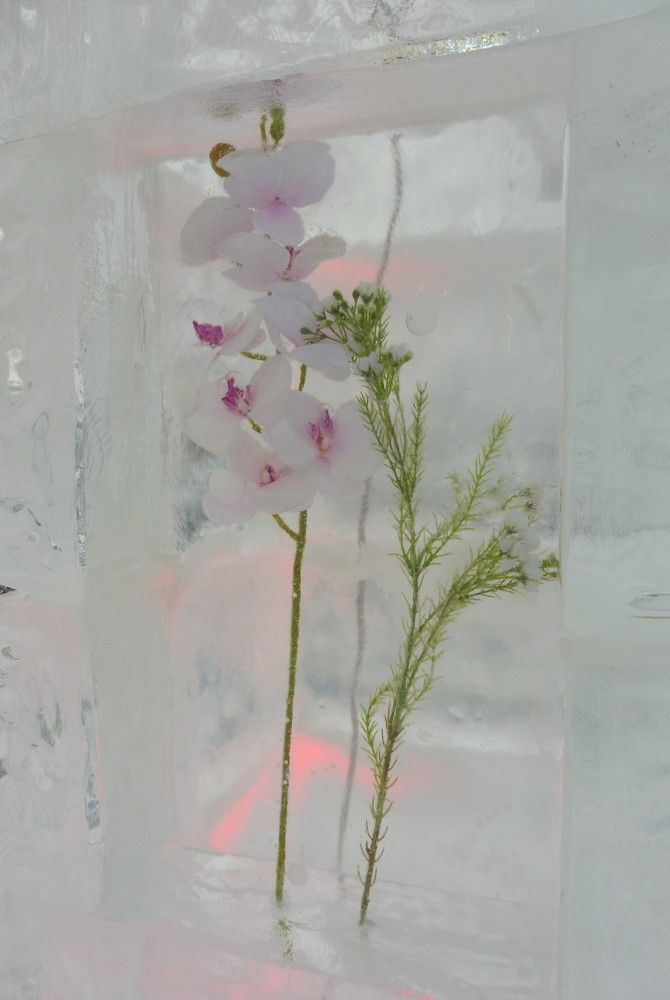 Фотография автора Анастасия