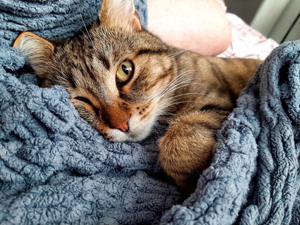 Photograph by Игорь Чечин