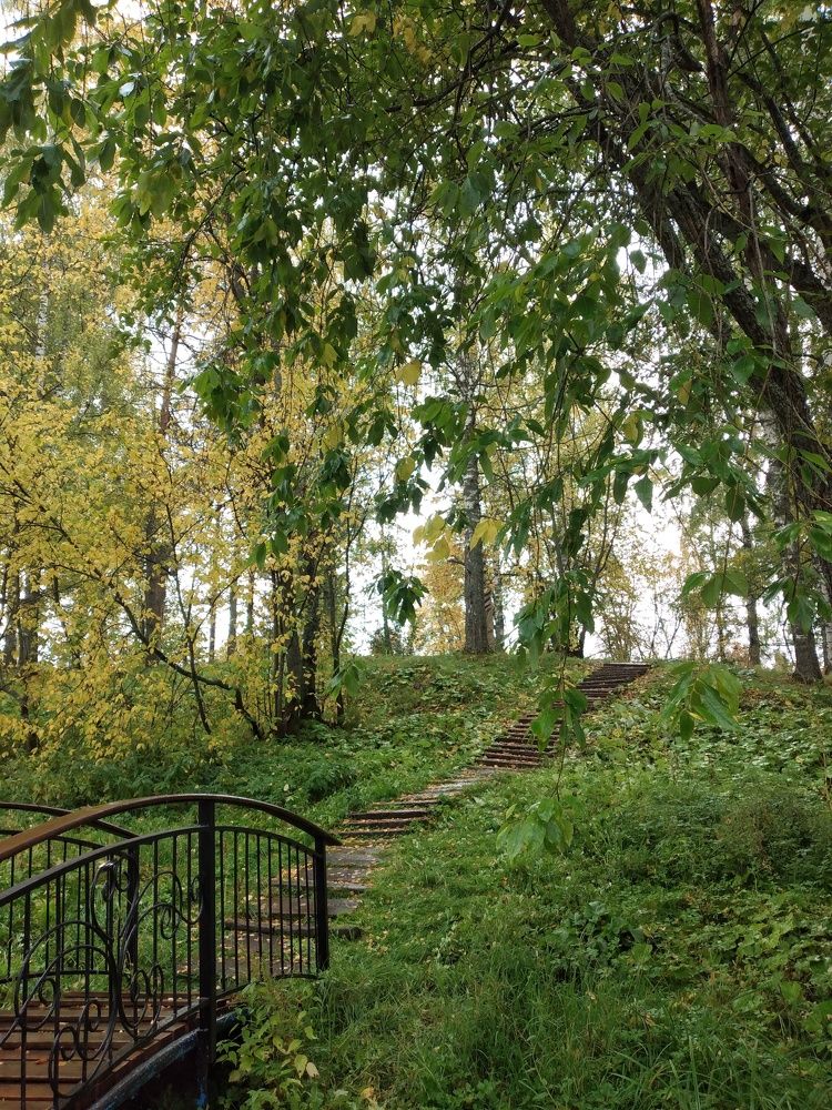 Photograph by София Корепанова
