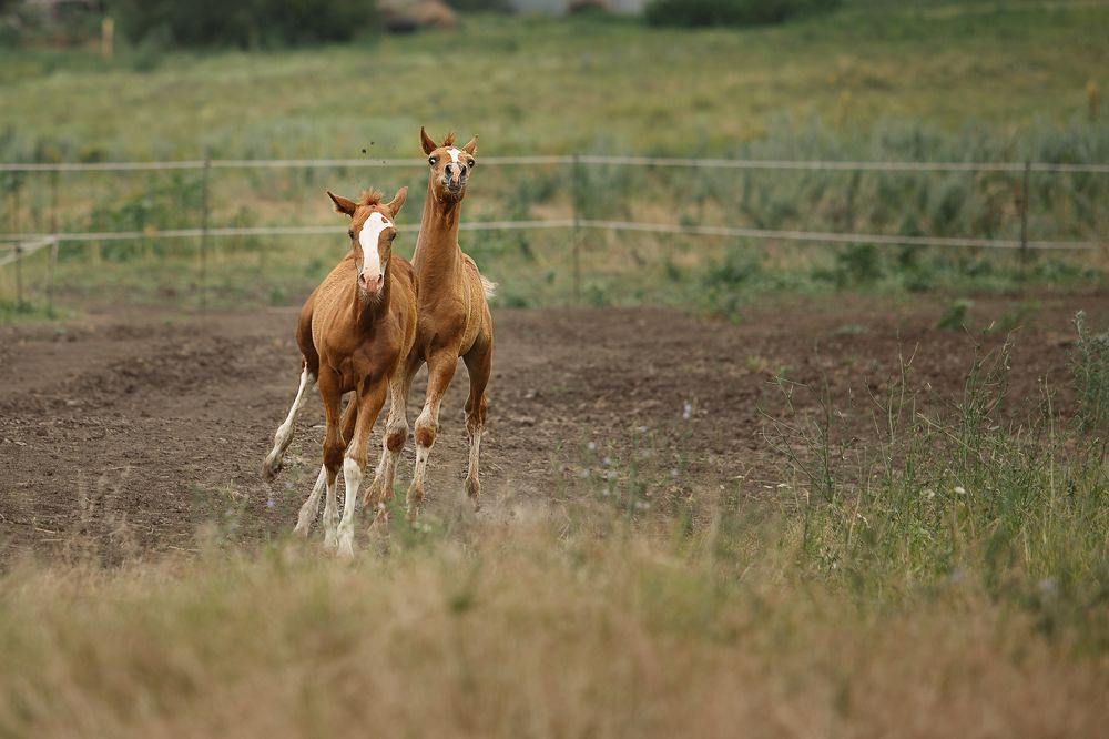 Photograph by Ольга Рябчикова