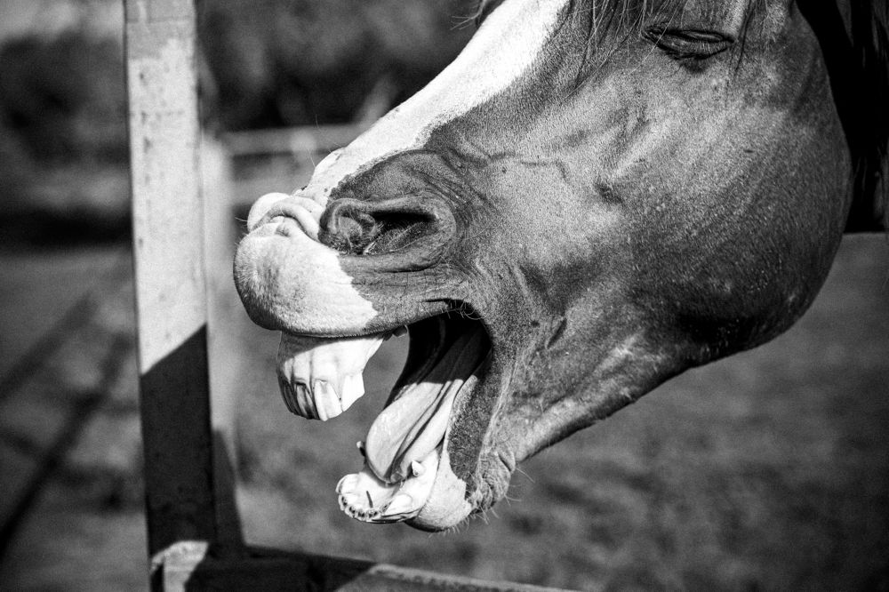 Photograph by Ольга Рябчикова