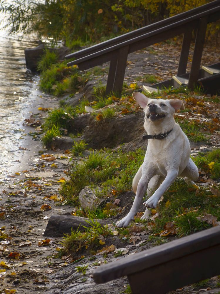 Photograph by Татьяна Чичковская
