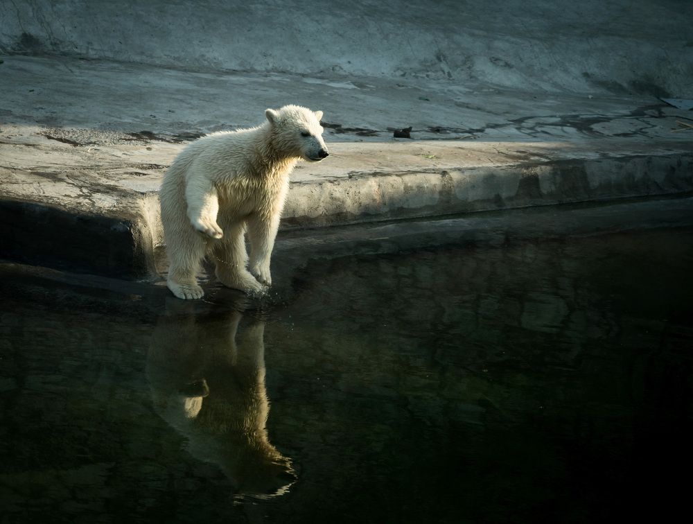 Photograph by Татьяна Чичковская