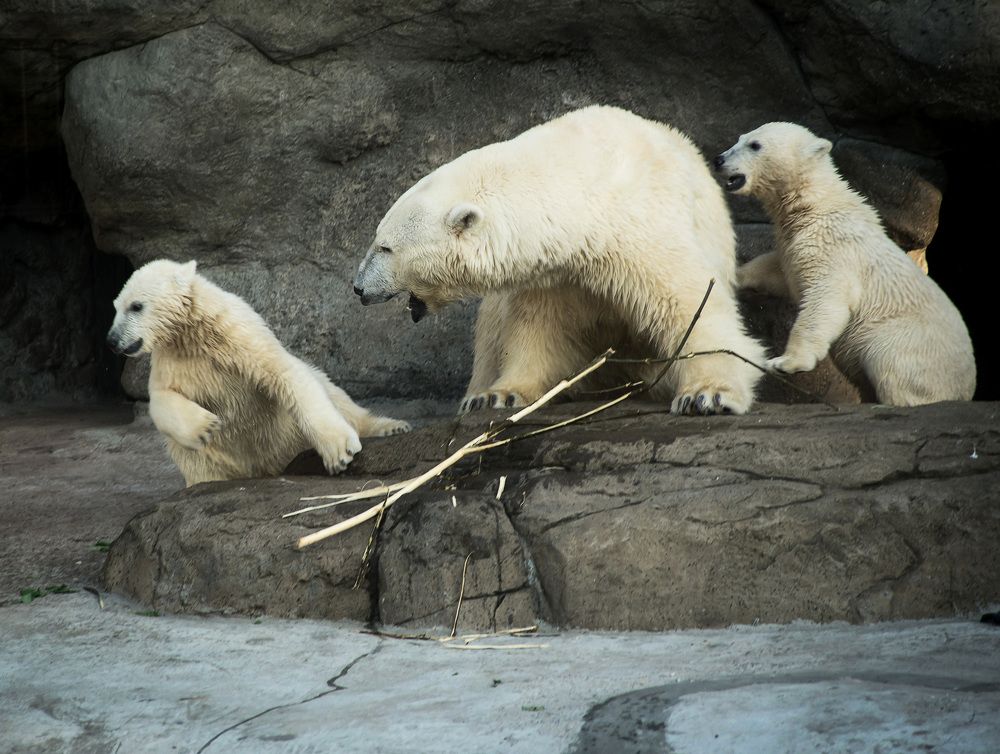 Photograph by Татьяна Чичковская