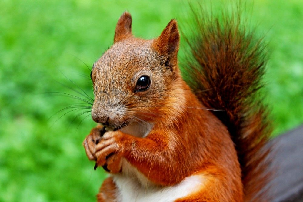 Photograph by Дмитрий Симагин