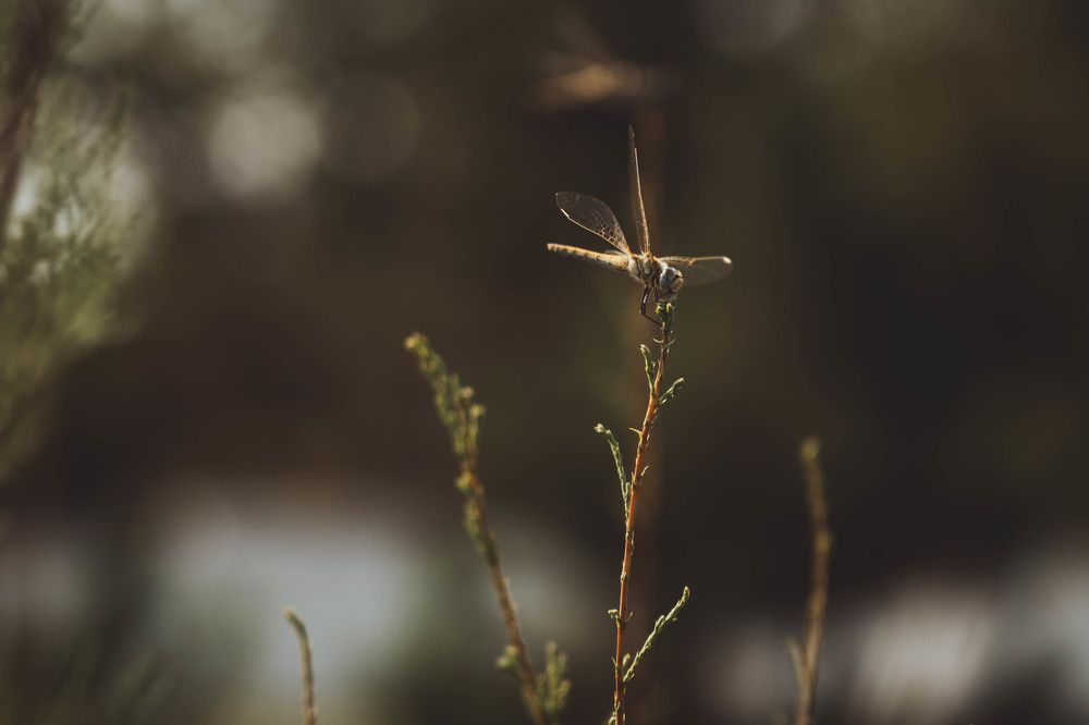 Photograph by Иван Кривоносов