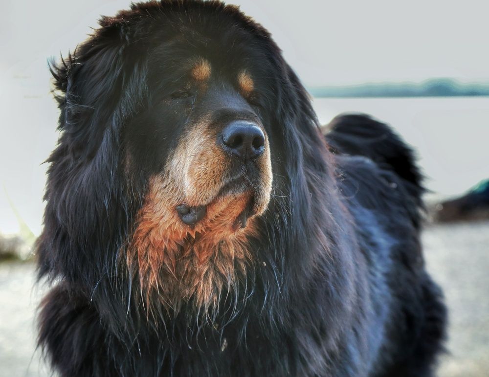 Photograph by Мария Андреева