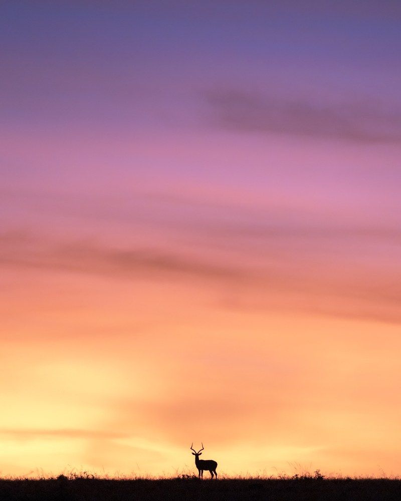 Photograph by Rémi Vacher