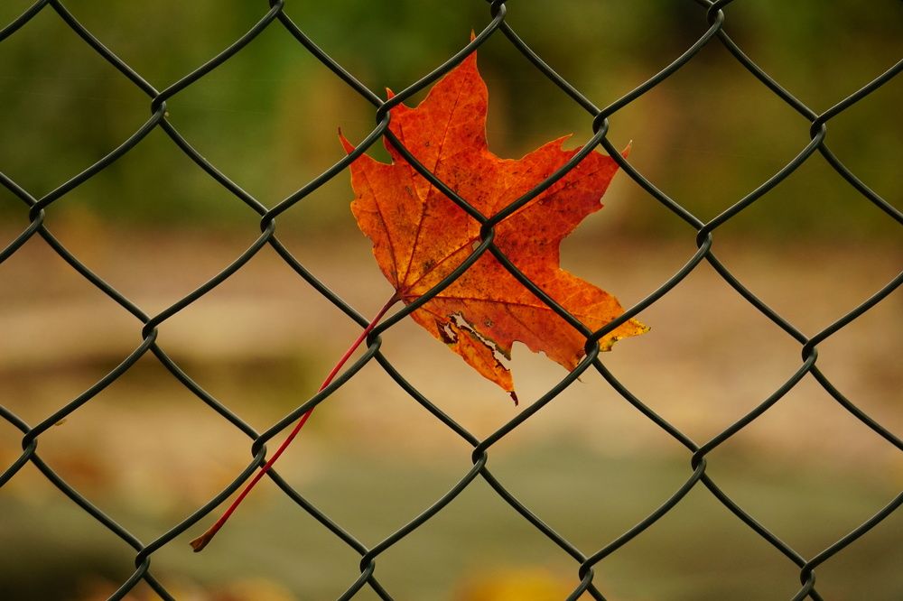 Фотография автора Liudmila Kiermeier