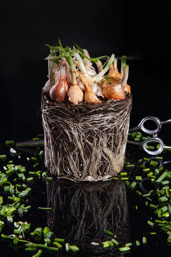 Photograph by Ирина Подгорная