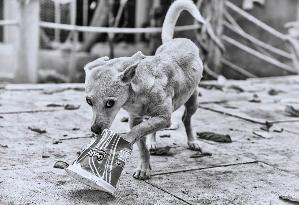 Photograph by Iman Barin