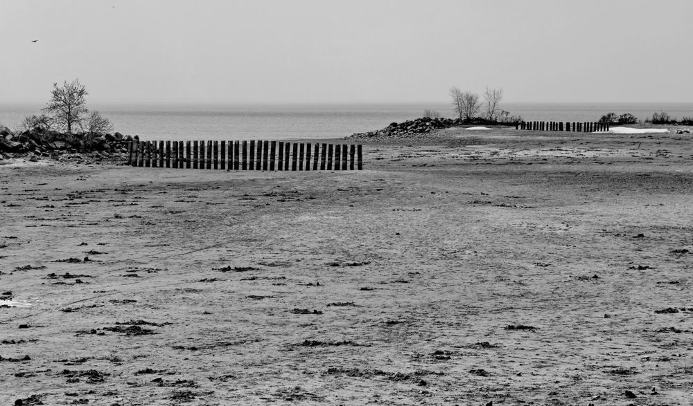 Photograph by Сергей Гребенников