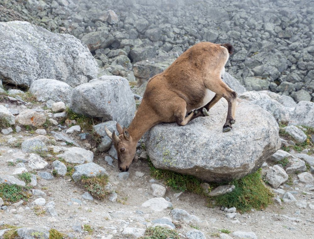 Photograph by Виктор Петров