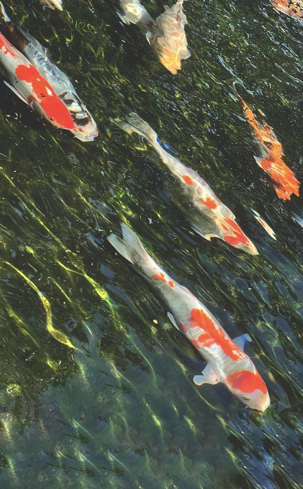 Photograph by Елена Громова