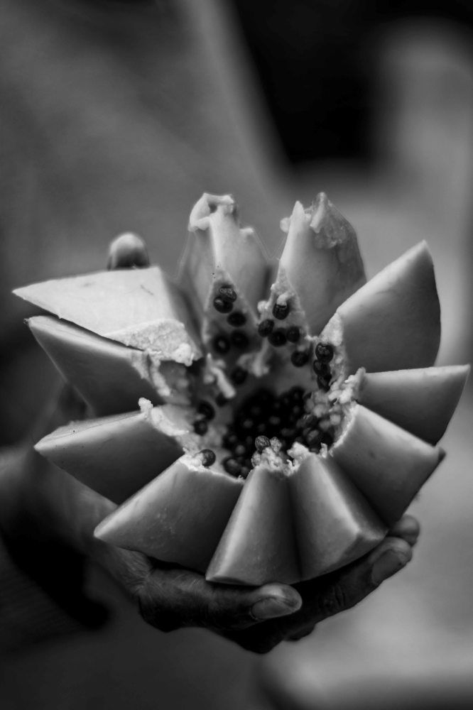 Photograph by Juan Javier Medina Pereira