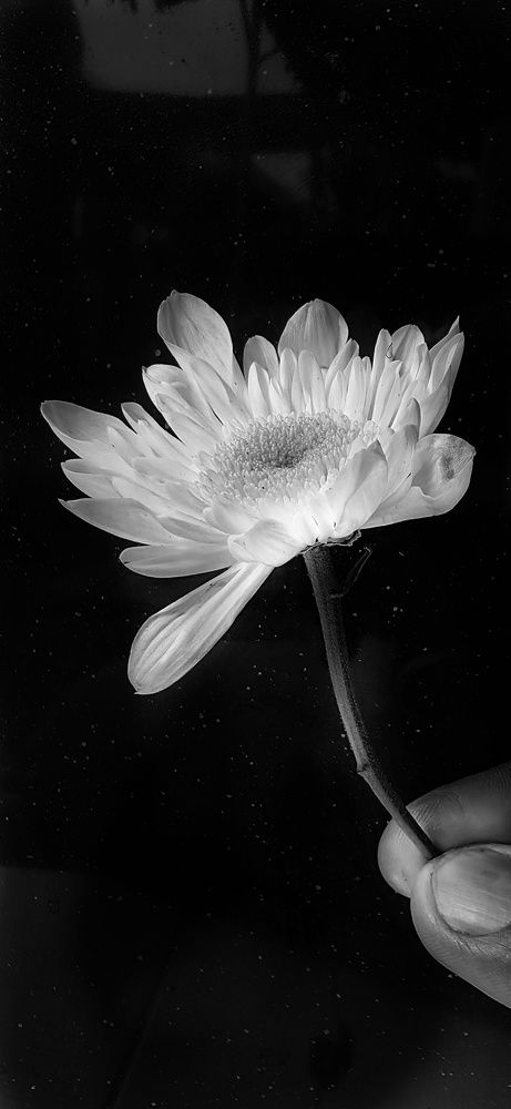 Photograph by Roger Baligod