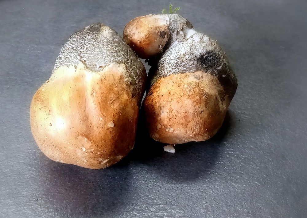 Photograph by Глеб Кузьминых