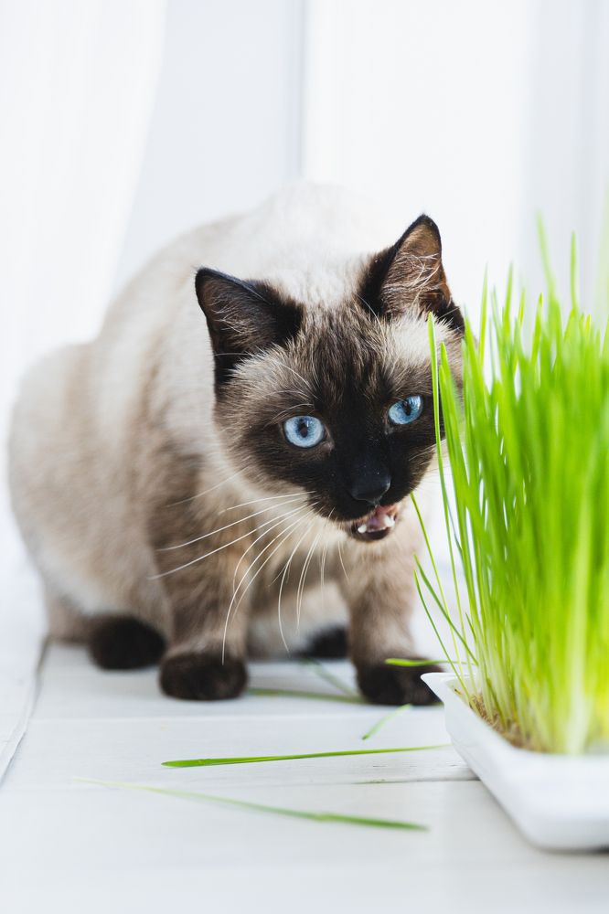 Photograph by Инна Смолякова