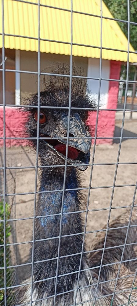 Photograph by Daria Kirina