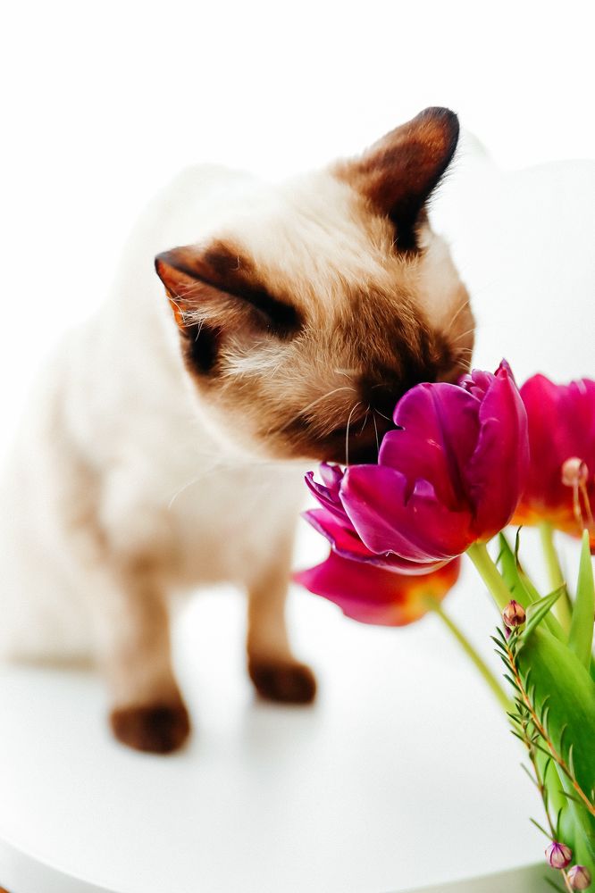 Photograph by Инна Смолякова