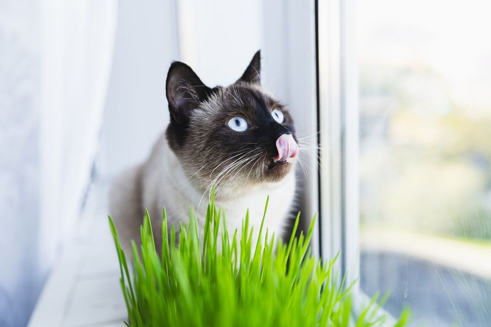 Photograph by Инна Смолякова