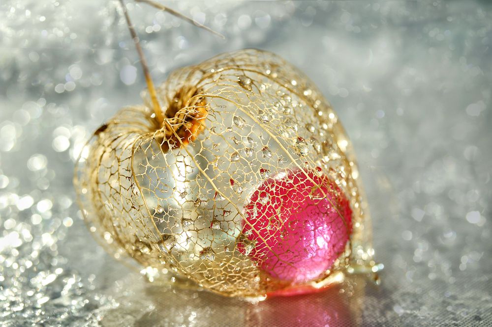 Photograph by Шруб (Беляева) Татьяна