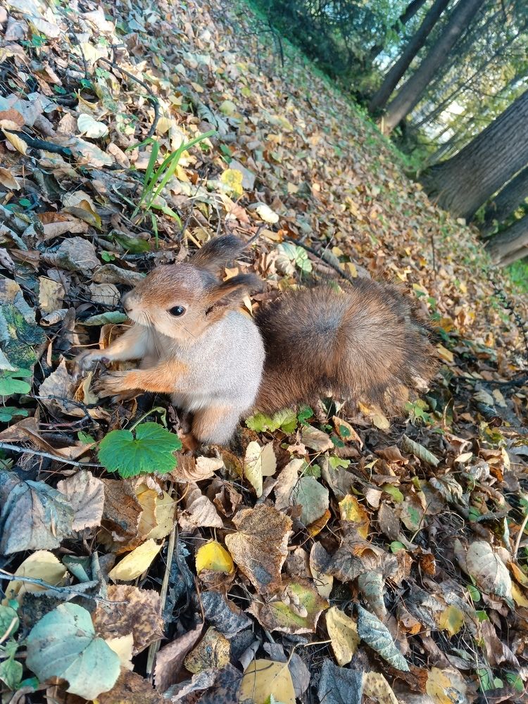 Photo #9796219
