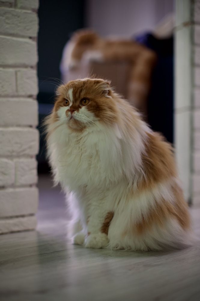 Photograph by Ольга Веретенникова