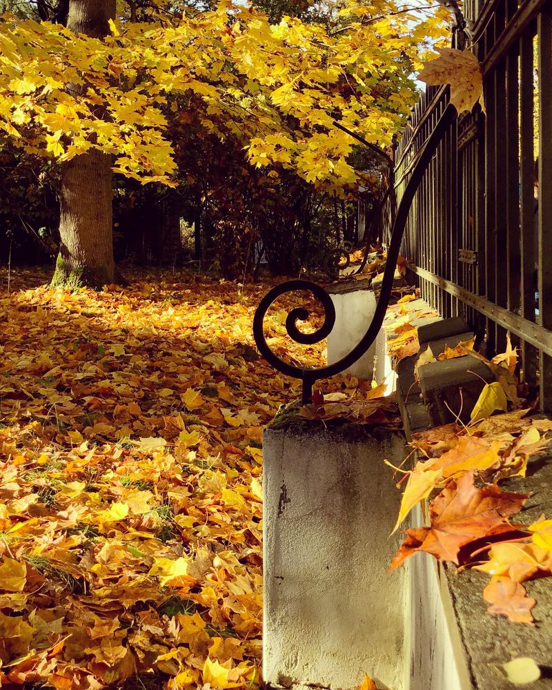 Photograph by Halina Mitsevich