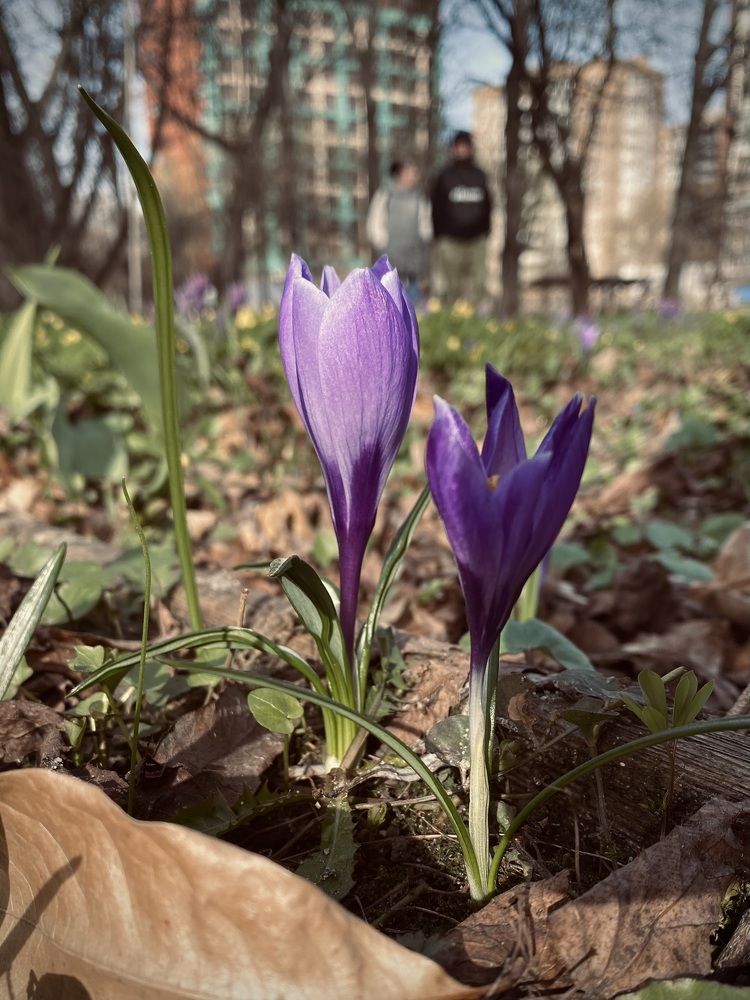 Photograph by Ольга Веретенникова