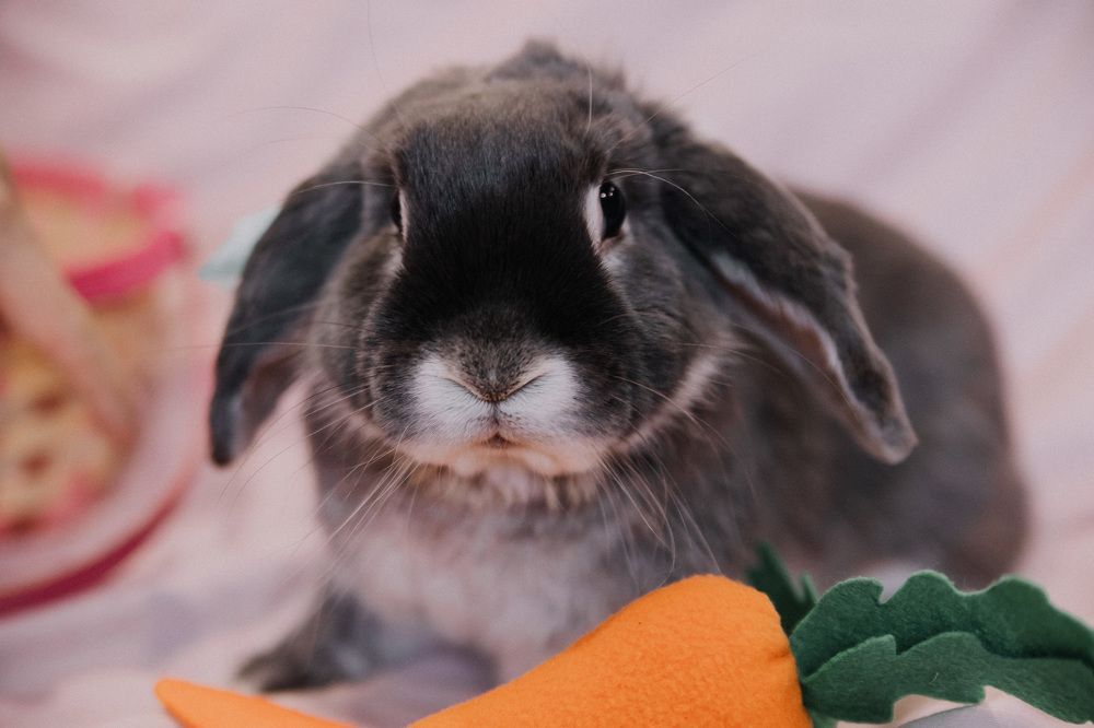 Photograph by Елена Граф