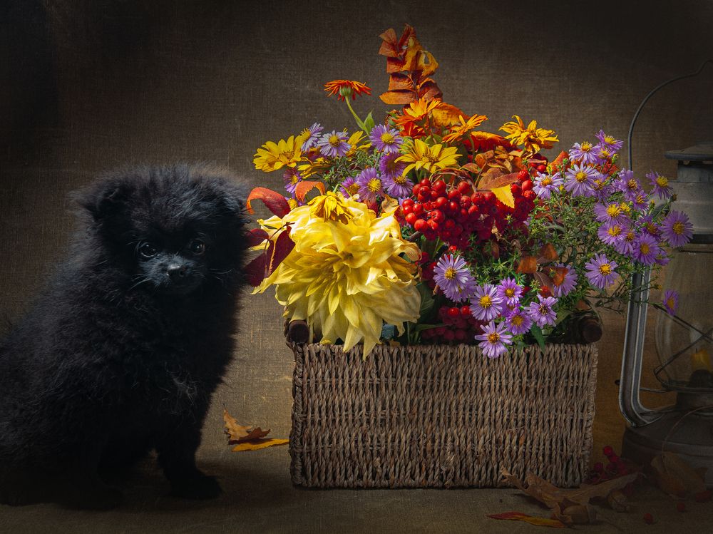 Photograph by Юрий Новиков