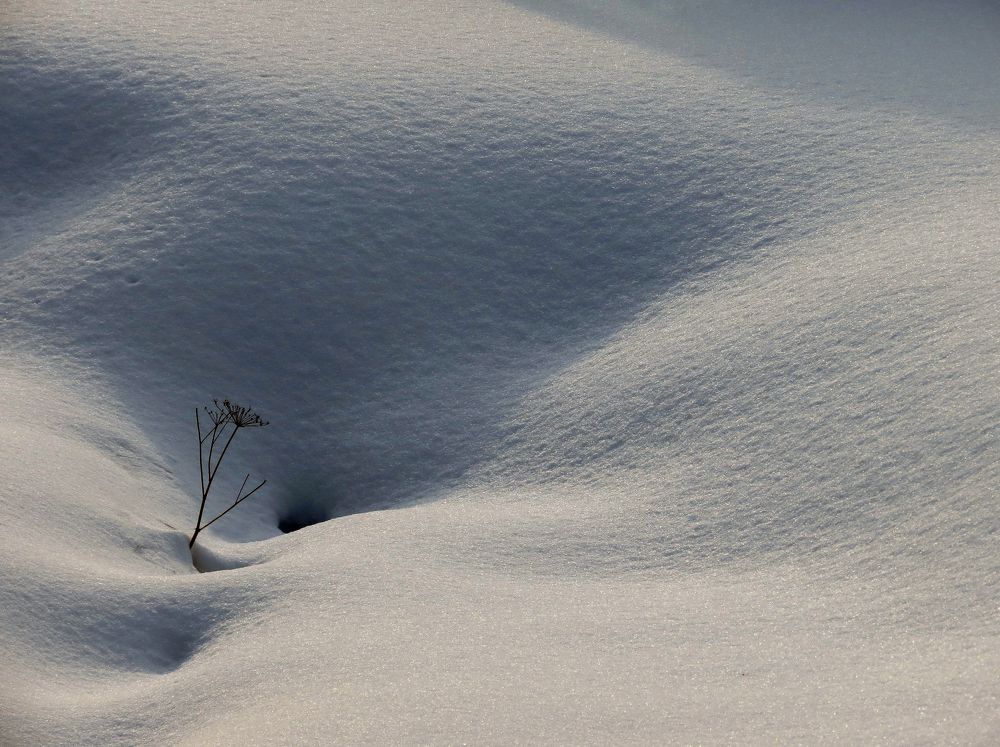 Photograph by Андрей