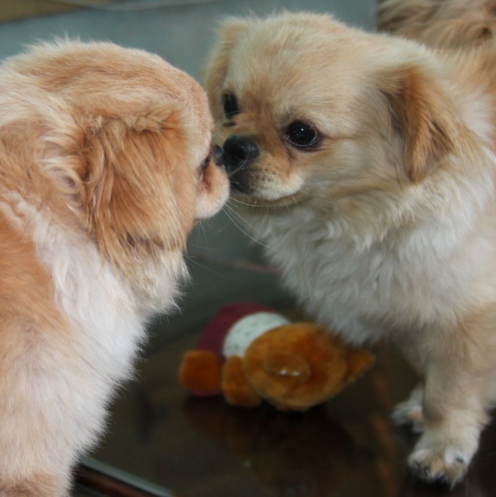 Photograph by Evelyn Carnot Montes