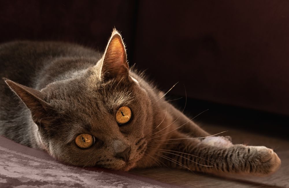 Photograph by Ольга Бакурская