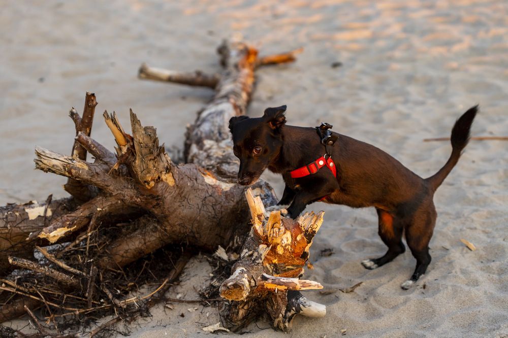 Photograph by Irina Beleva