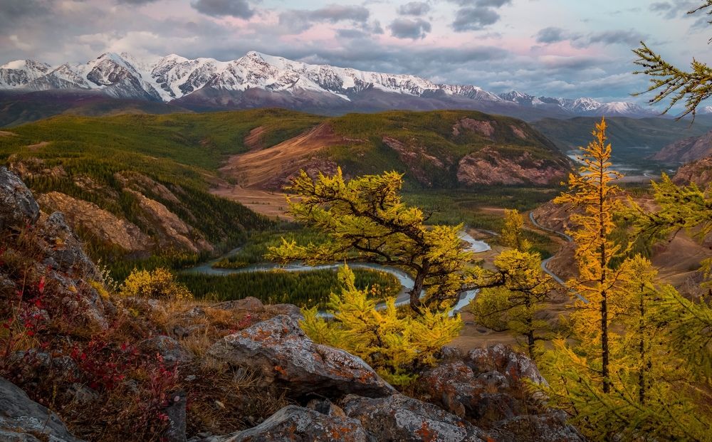 Photograph by Tatiana Meshcheryakova