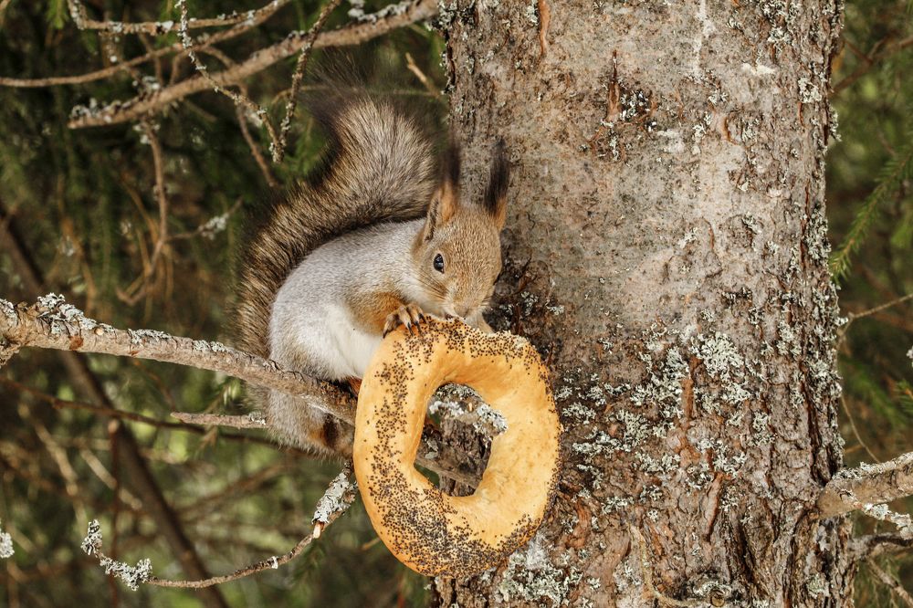 А чай будет?