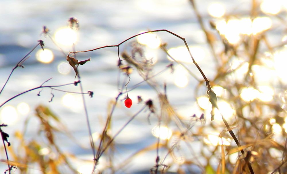 Photograph by 