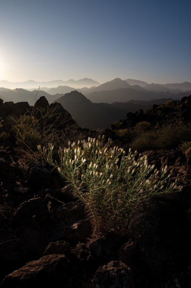 Фотография автора Abie Davis