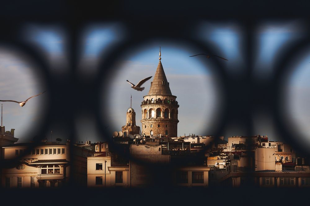 Photograph by Владислав Данилов