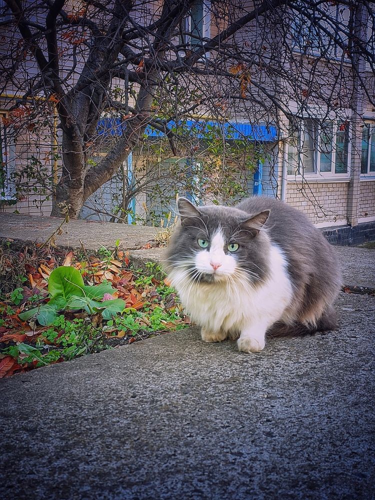 Photograph by Олега Тор