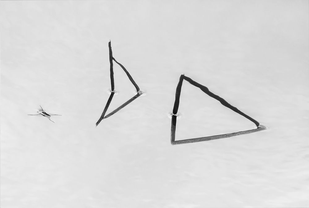 Photograph by Тамара Морозова